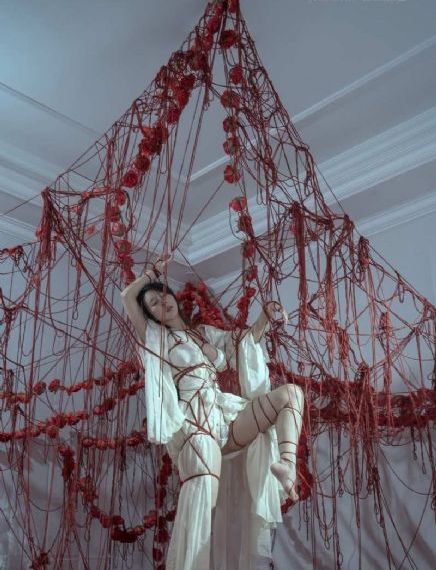 女律师的堕落日本_DVD免费观看电视剧