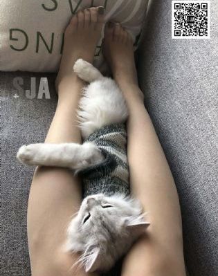 龙行龘龘_1080免费在线观看